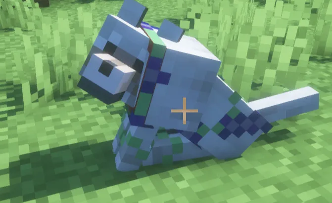 Adina的手工花卉套件 Adina's Kit's Cutie Flowers