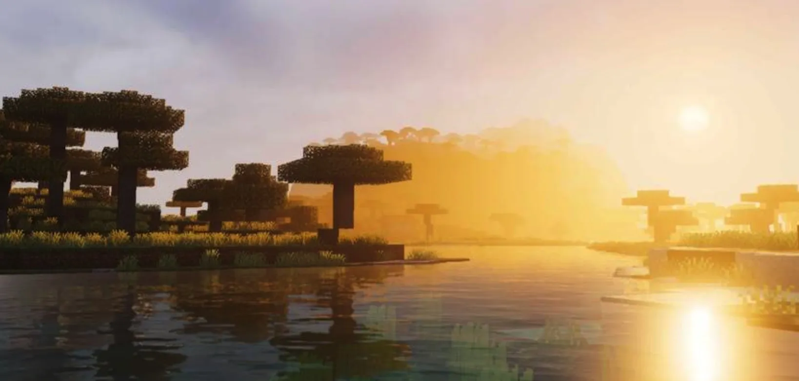 革命性活力视觉 Revolution Vibrant Visuals