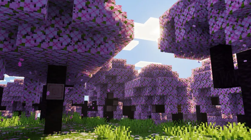 光影梦境 Luminous Dreams