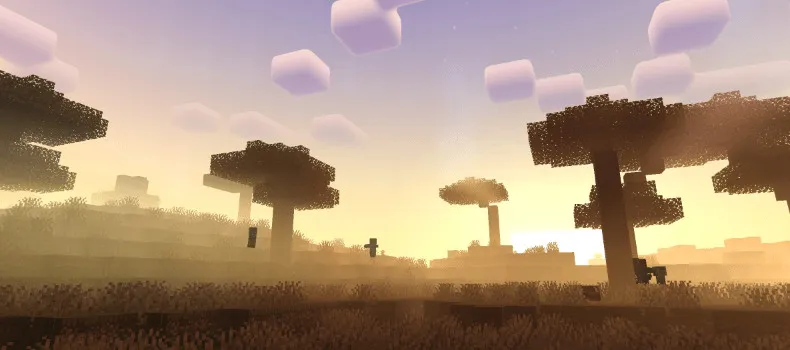 Newb Complemetary Shader