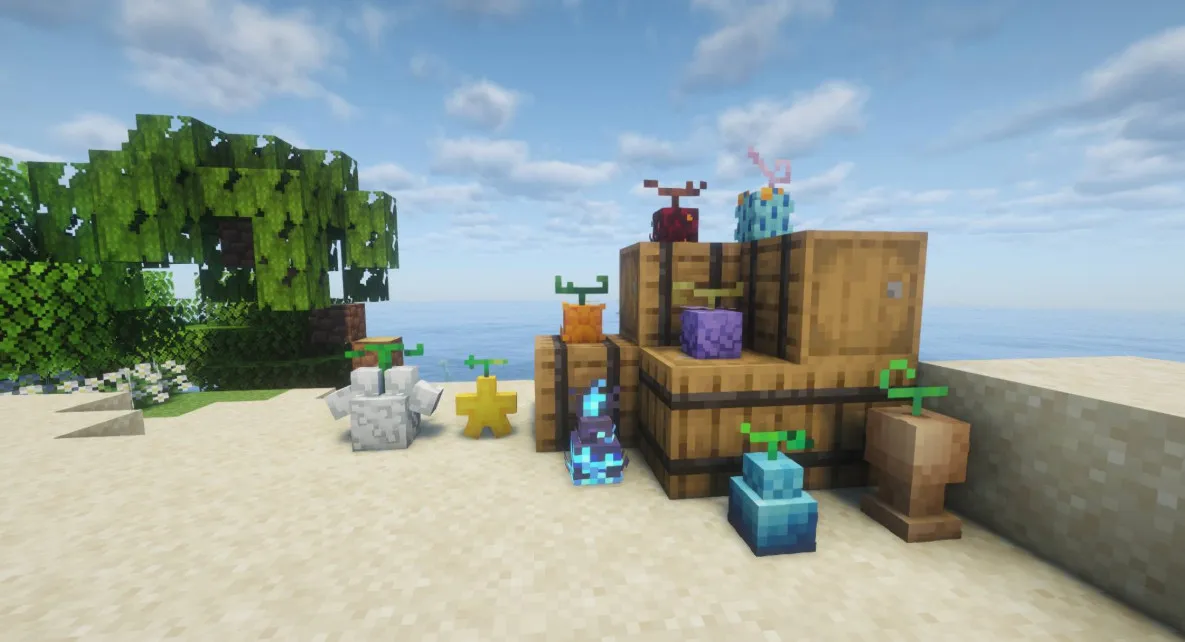 海贼工坊 One Prime Piece