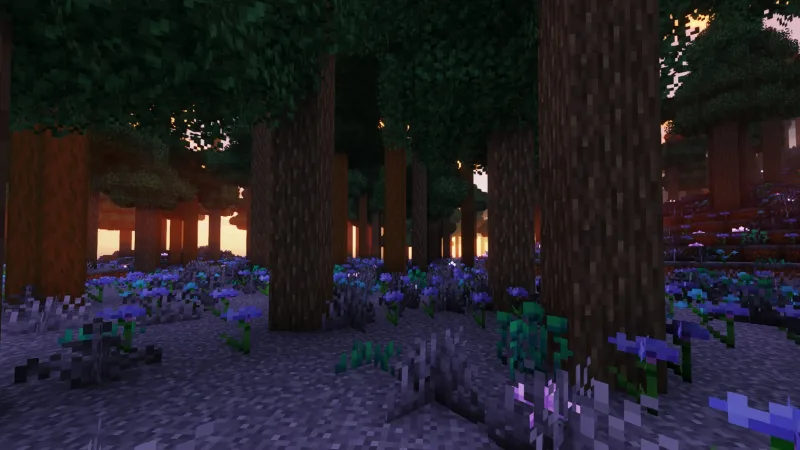 Derivative Shader