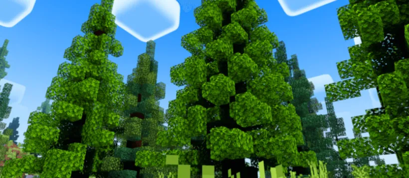 Newb X Dragon Shader