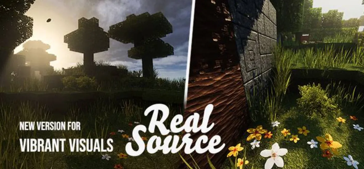 RealSource REALISTIC pack