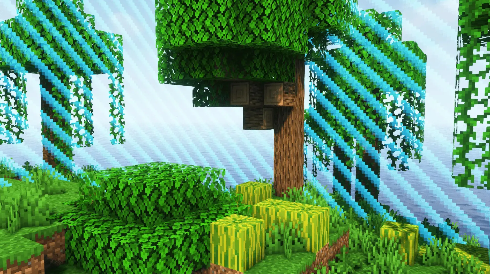 边境收藏家 Border Hoarder