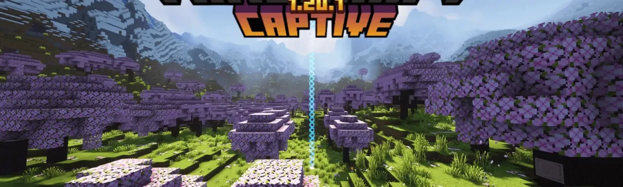 囚禁 Captive