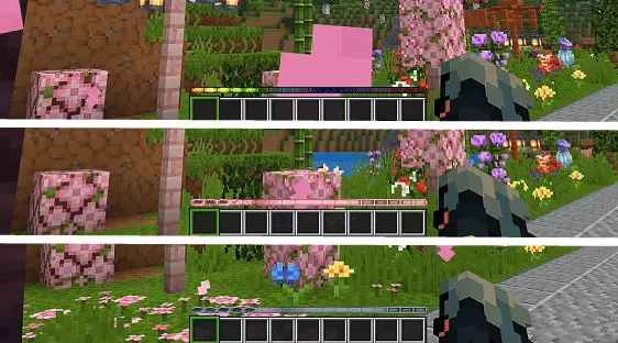 动态经验条 Animated XP Bars