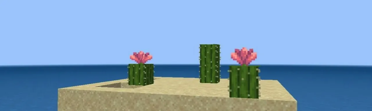 生存岛 Survival Island