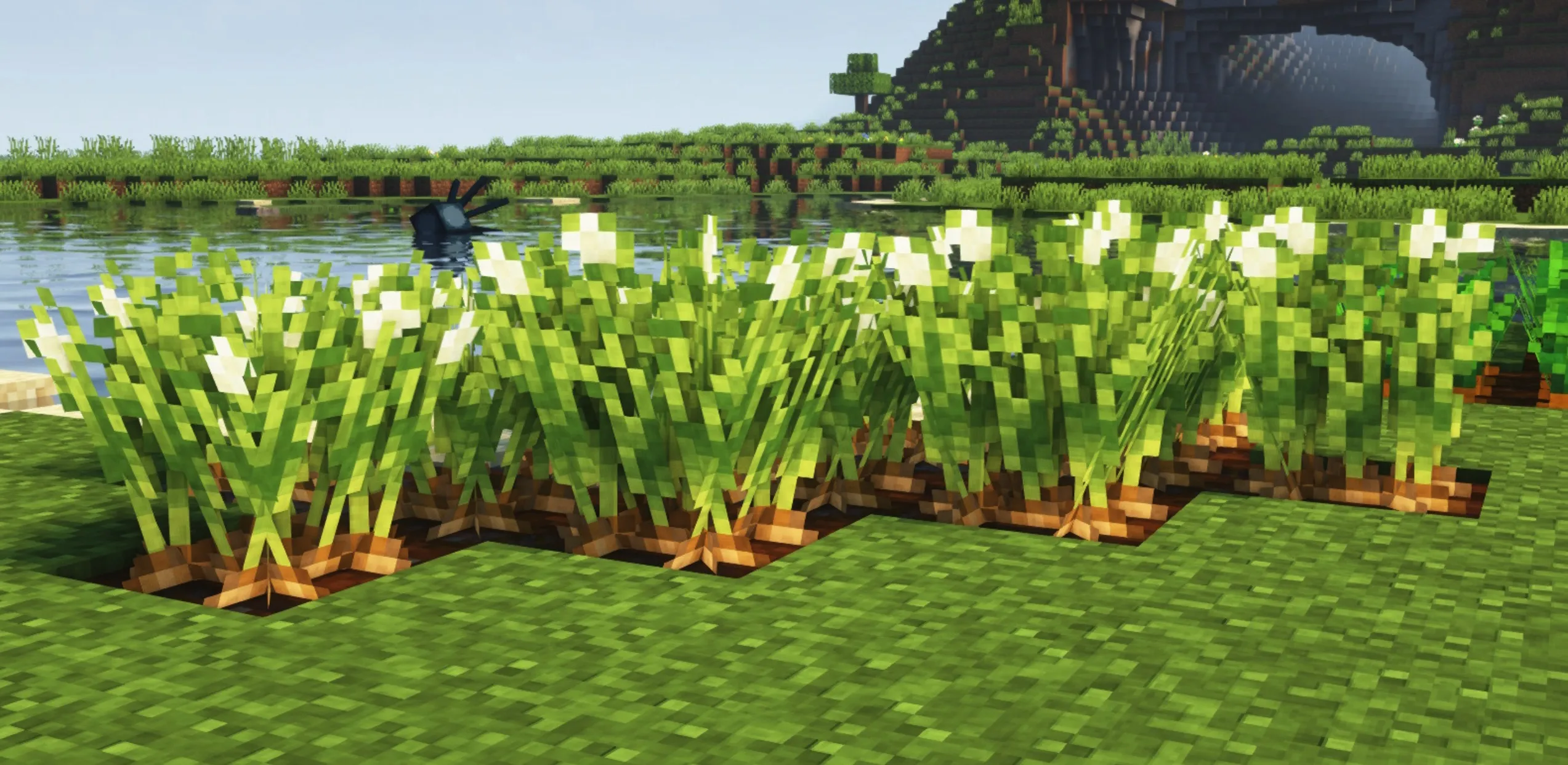 精美作物 Fancy Crops