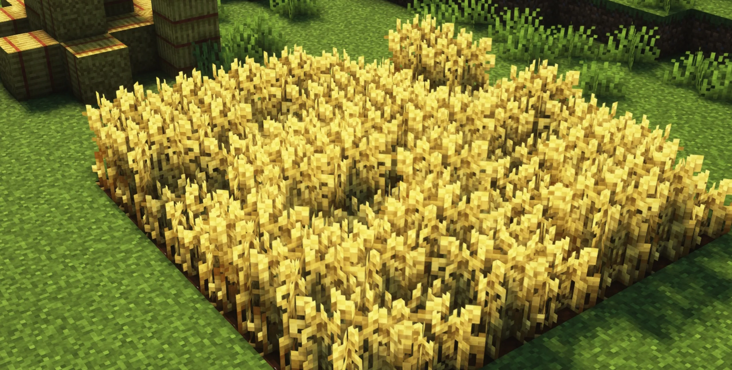 精美作物 Fancy Crops