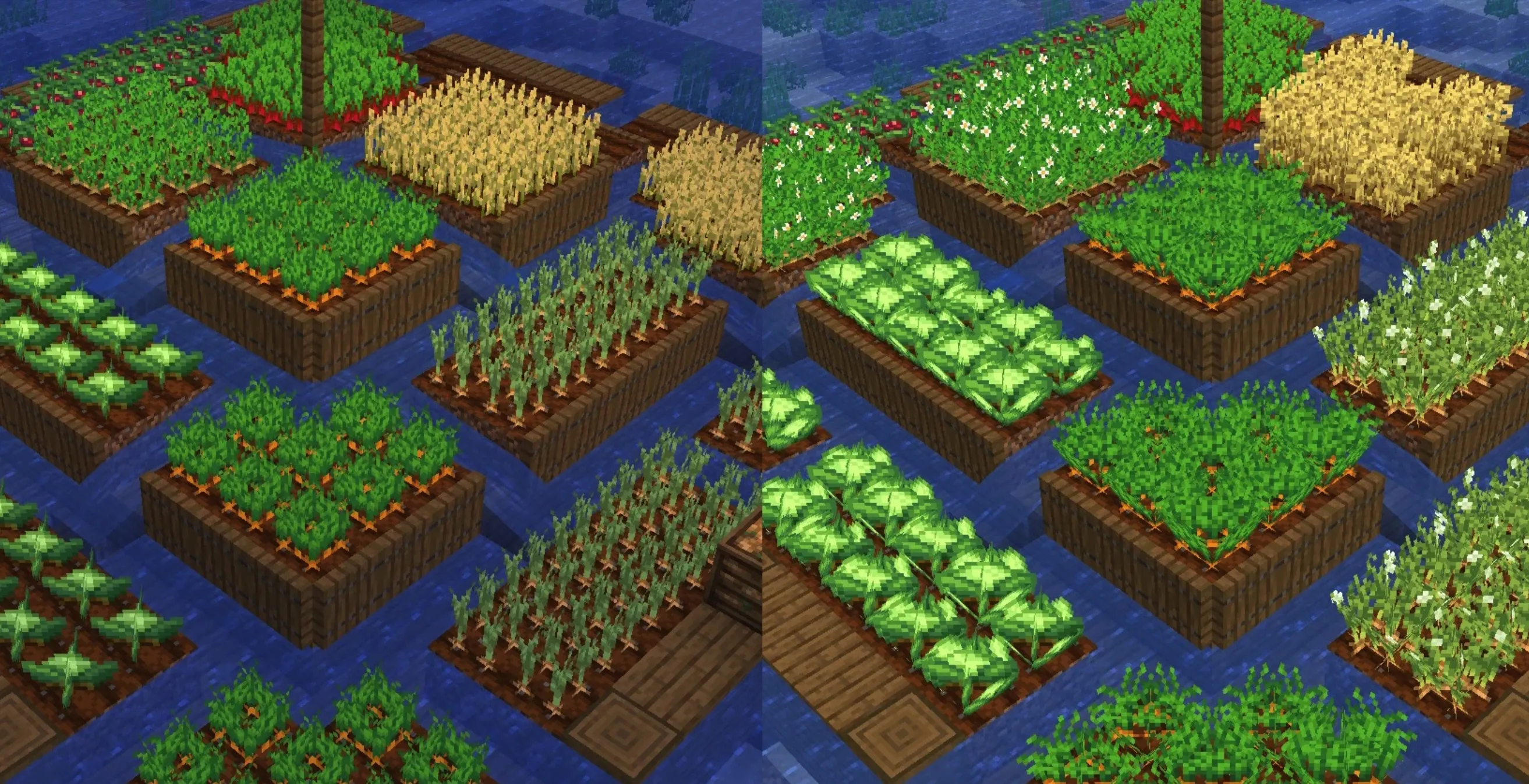 精美作物 Fancy Crops