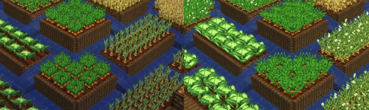 精美作物 Fancy Crops