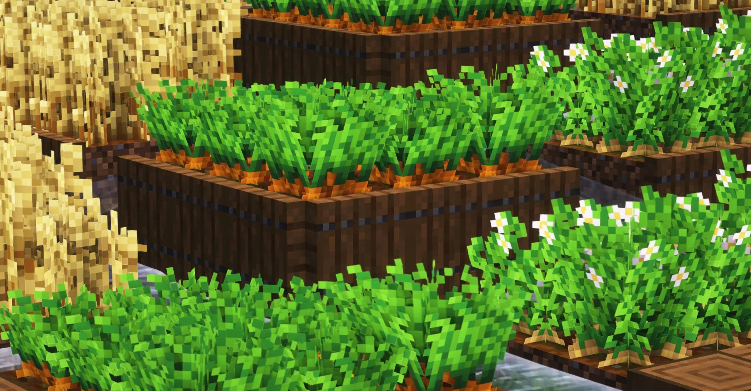 精美作物 Fancy Crops