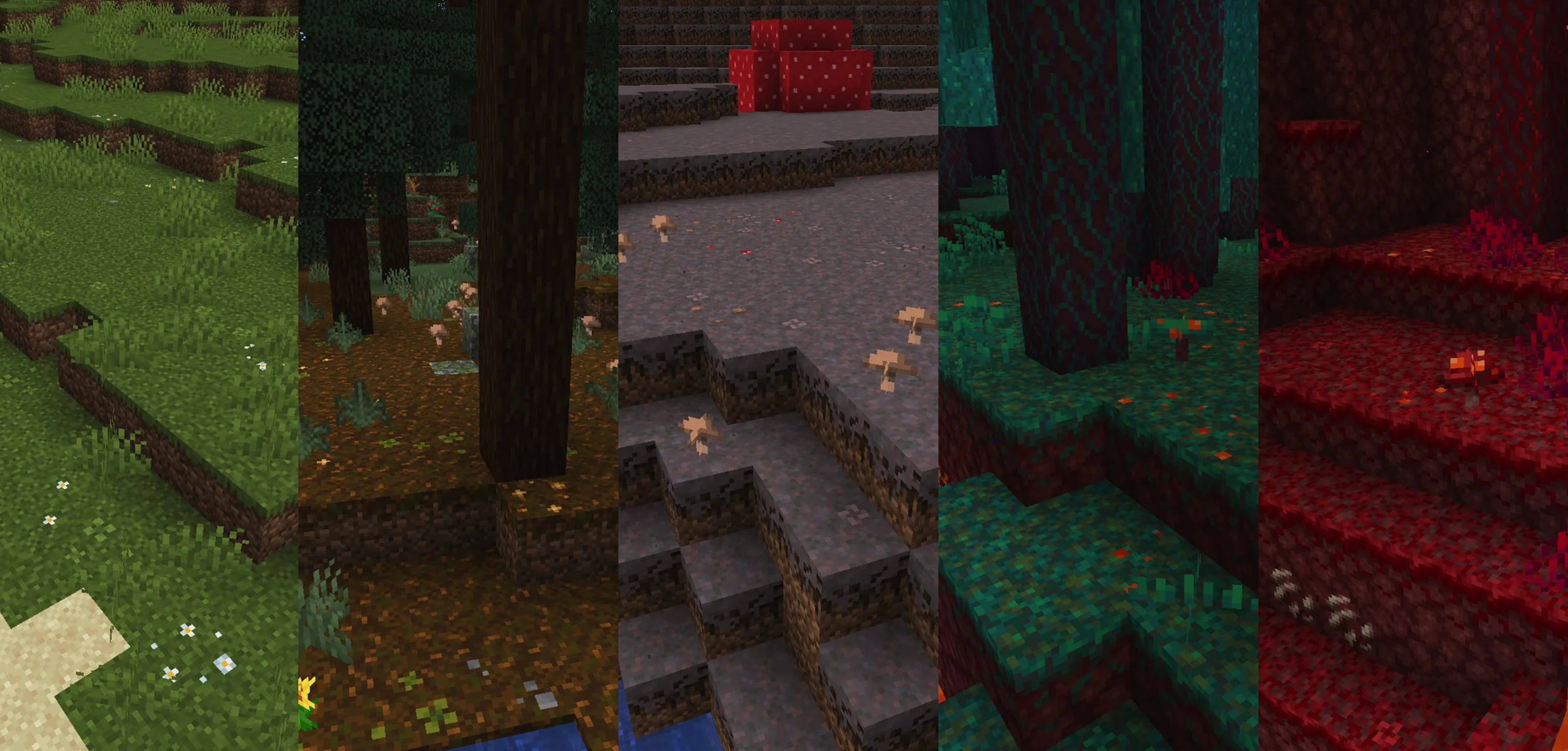 简约草地花卉 Simple Grass Flowers