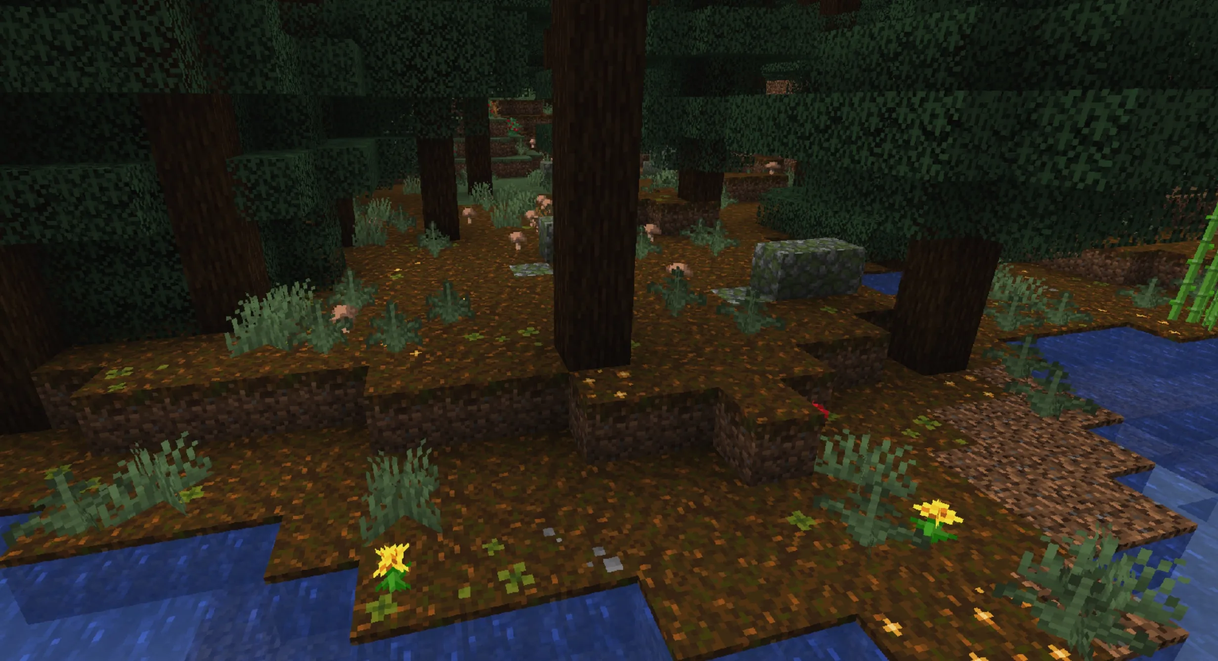 简约草地花卉 Simple Grass Flowers