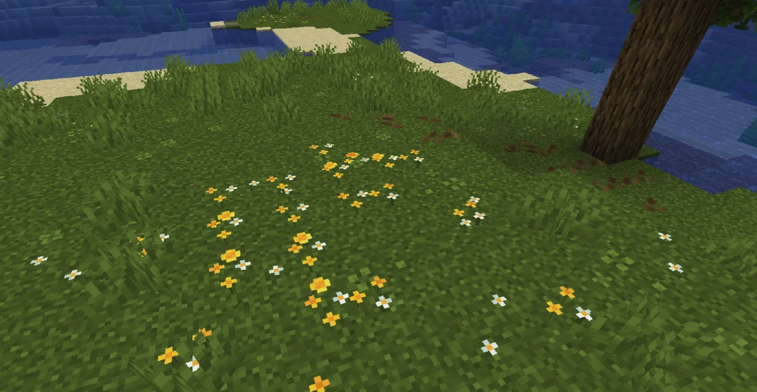 简约草地花卉 Simple Grass Flowers