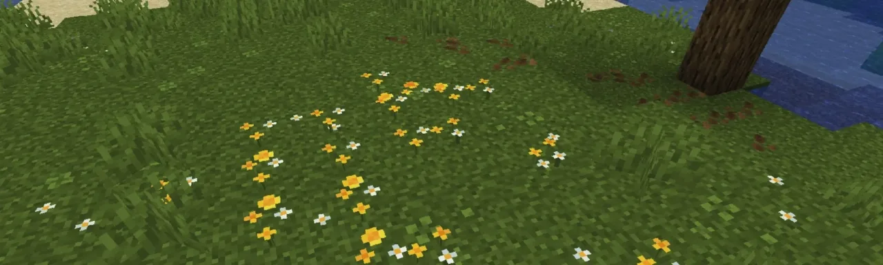 简约草地花卉 Simple Grass Flowers