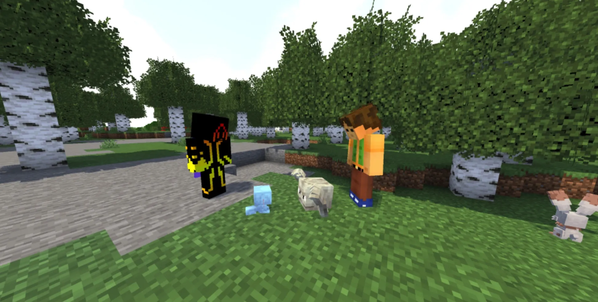 激进方块宝可梦训练师纹理增强包 Radical Cobblemon Trainer Textures Plus