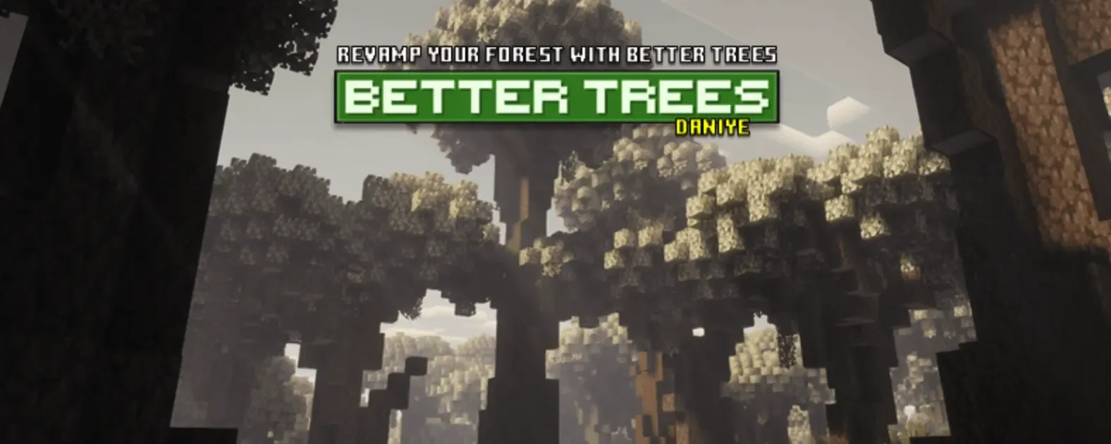 更好树木 Better Trees