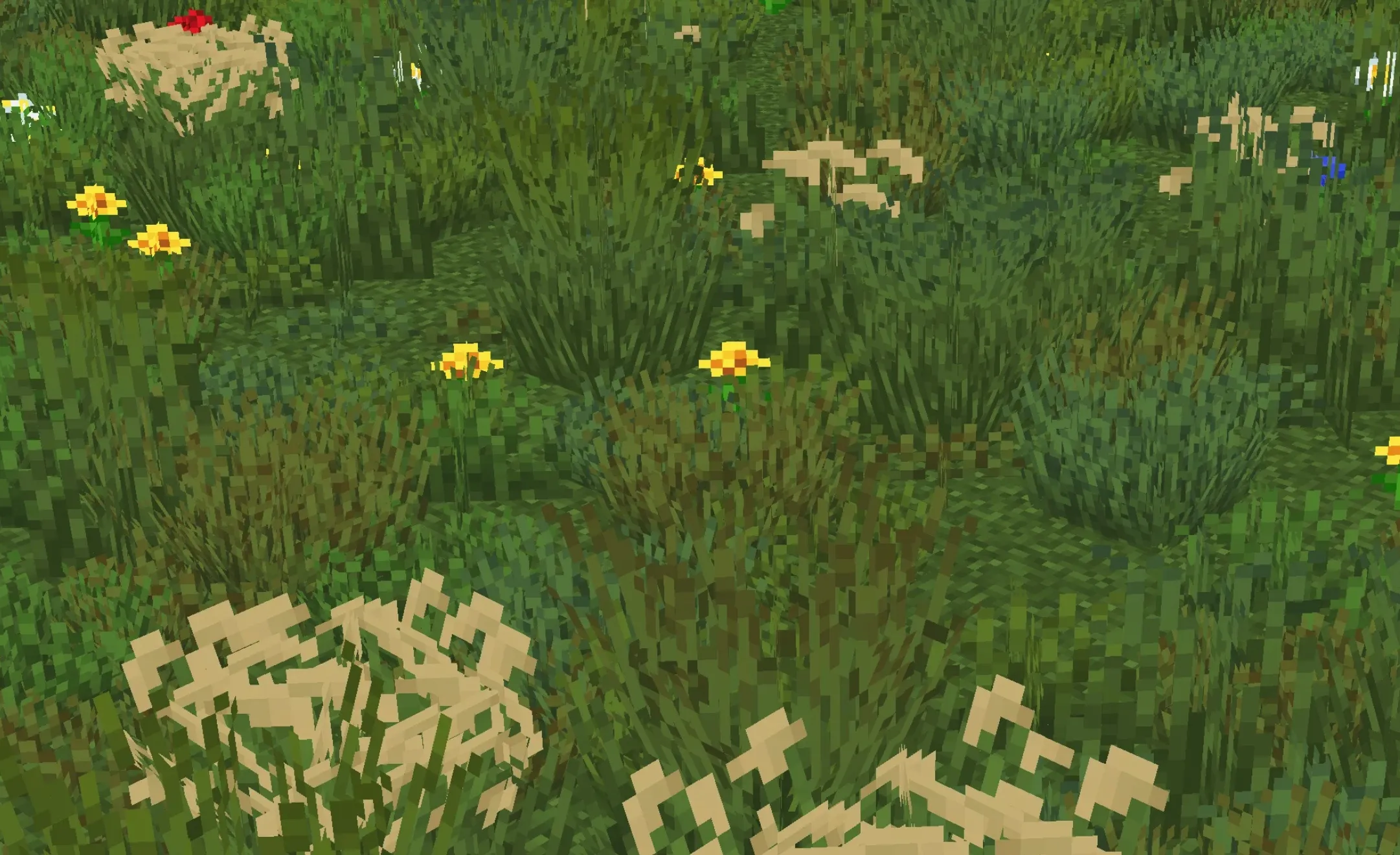 Os' 彩色草丛 Os' Colorful Grasses