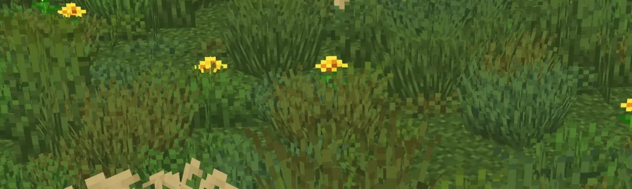 Os' 彩色草丛 Os' Colorful Grasses