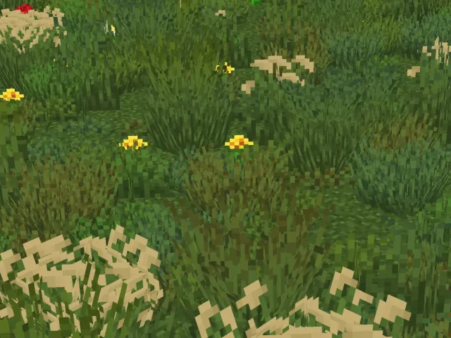Os' 彩色草丛 Os' Colorful Grasses