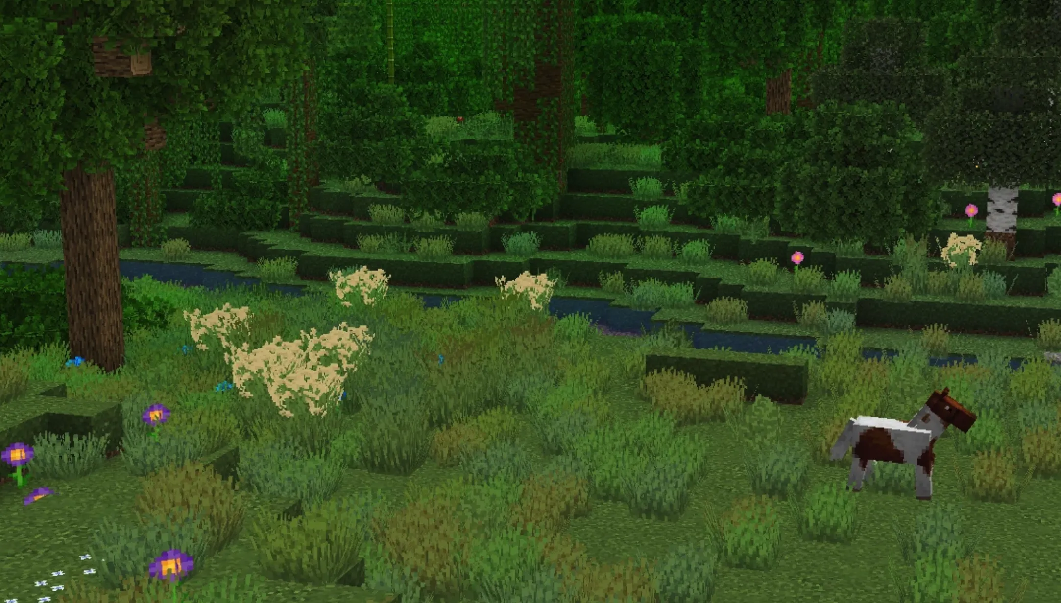 Os' 彩色草丛 Os' Colorful Grasses