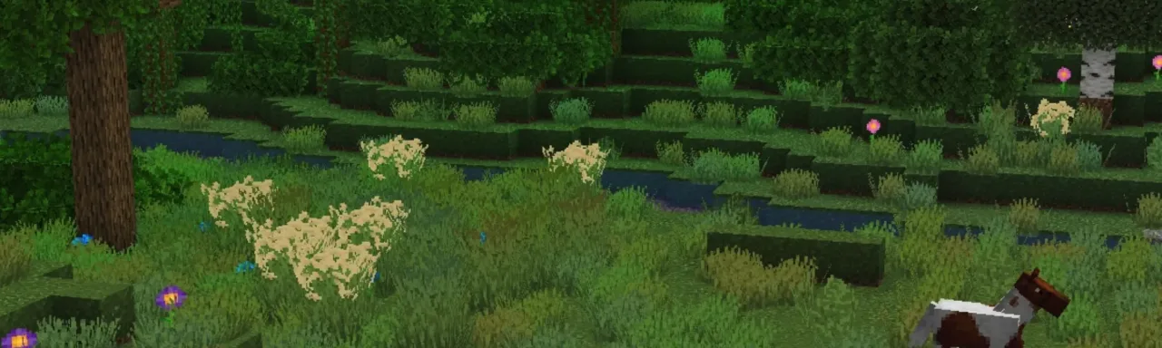Os' 彩色草丛 Os' Colorful Grasses