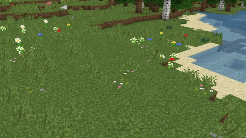 Beautifully Better Grass