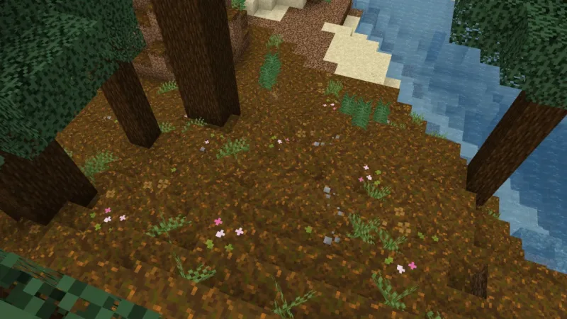 Beautifully Better Grass