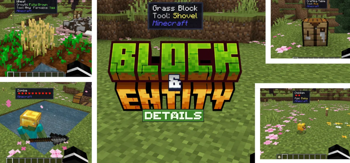 Block & Entity Details