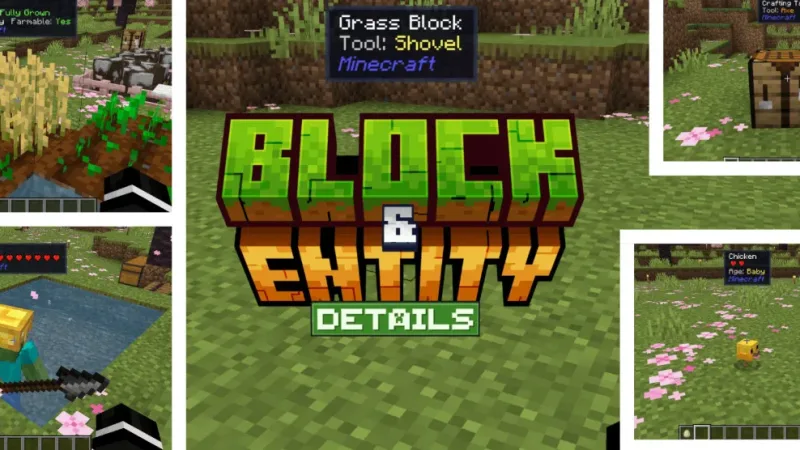 方块与实体详情 Block & Entity Details