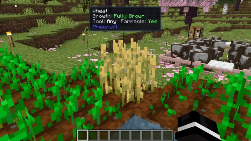 方块与实体详情 Block & Entity Details