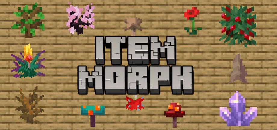 物品变身附加包 Item Morph Addon