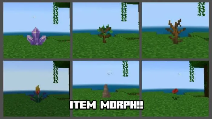 物品变身附加包 Item Morph Addon