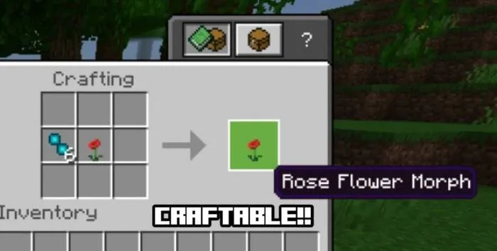 物品变身附加包 Item Morph Addon
