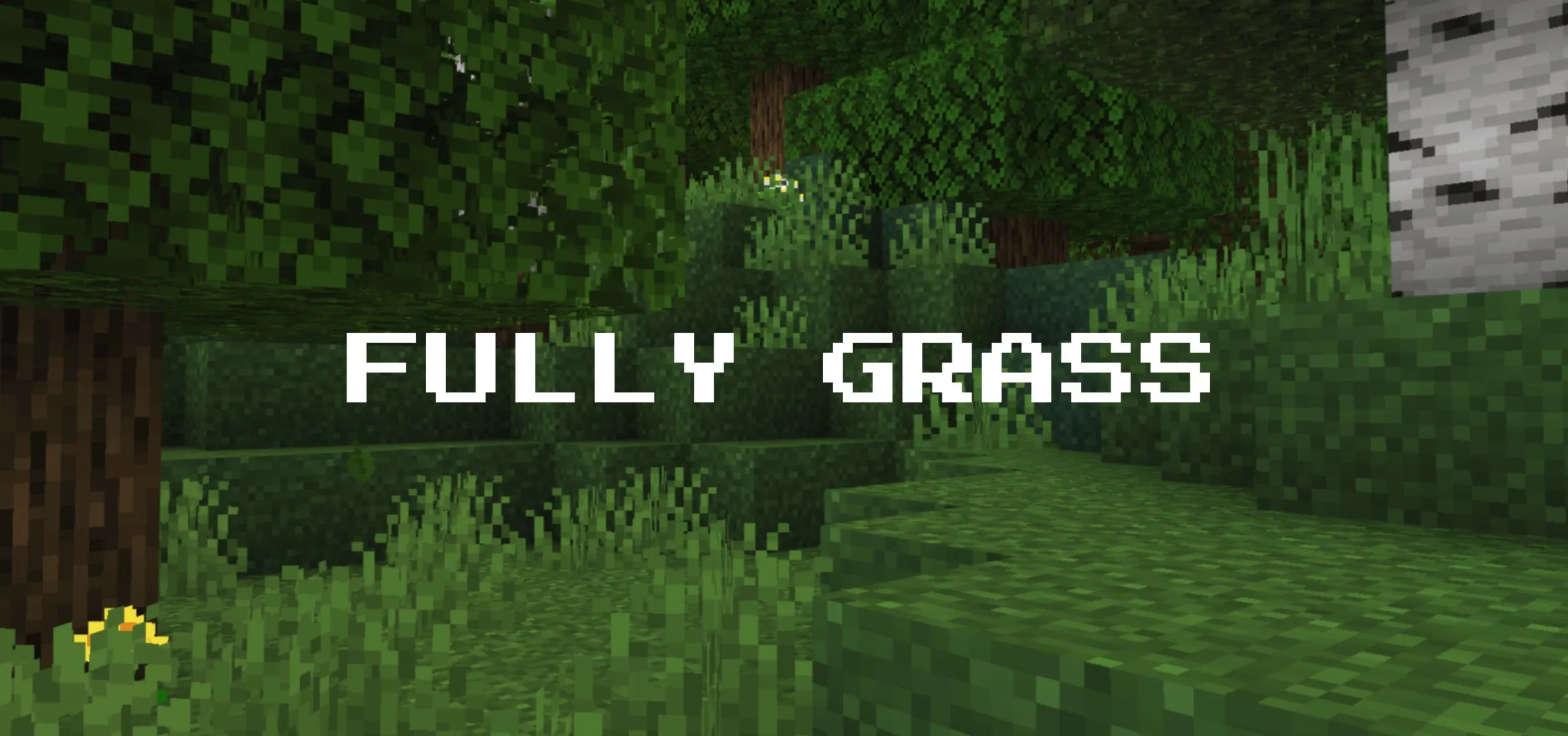 Fast Better Grass - Full Grass
