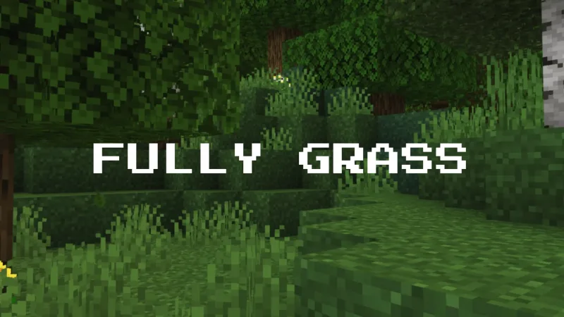 快速更好的草方块 - 全方块覆盖 Fast Better Grass - Full Grass