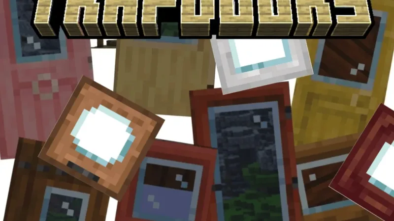 玻璃门与活板门 Glass Doors and Trapdoors
