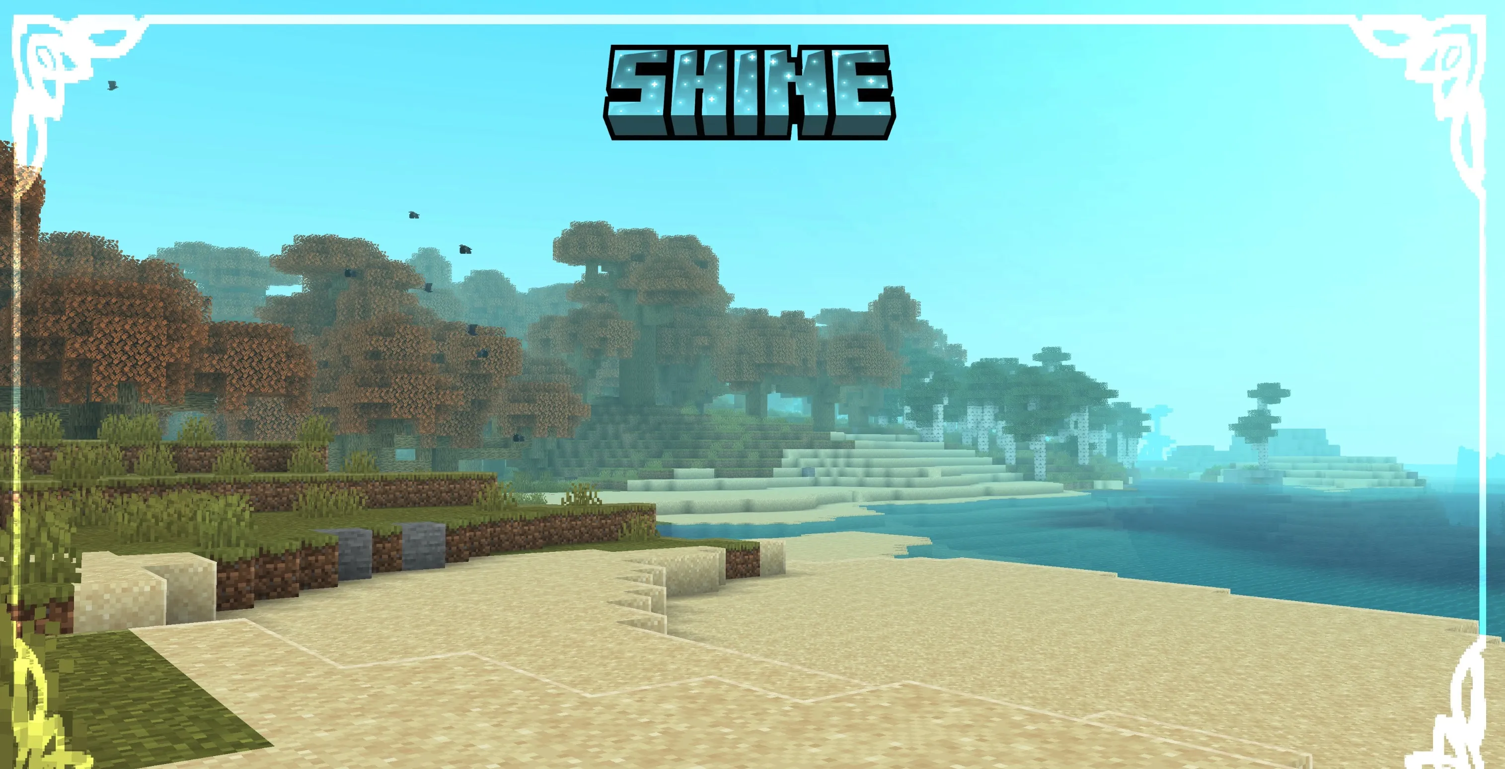 Shine