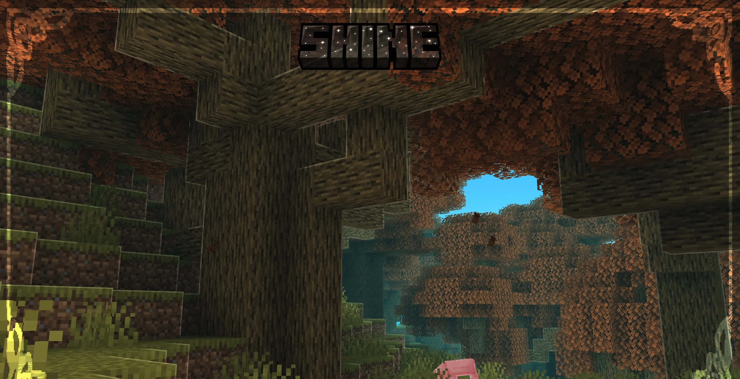 Shine
