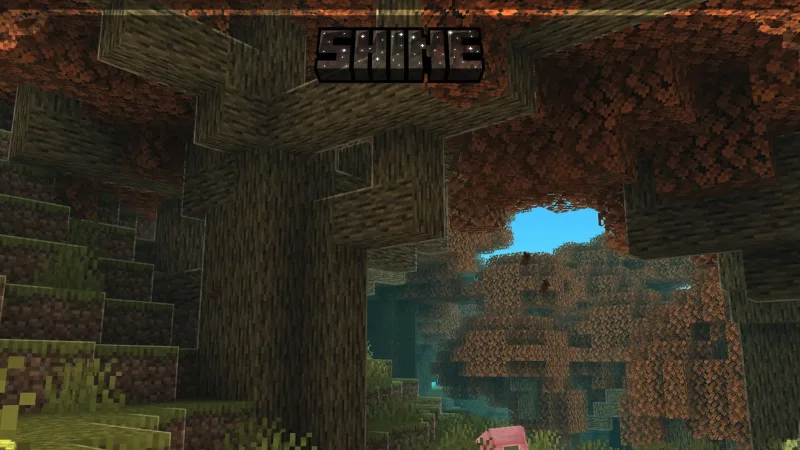 Shine