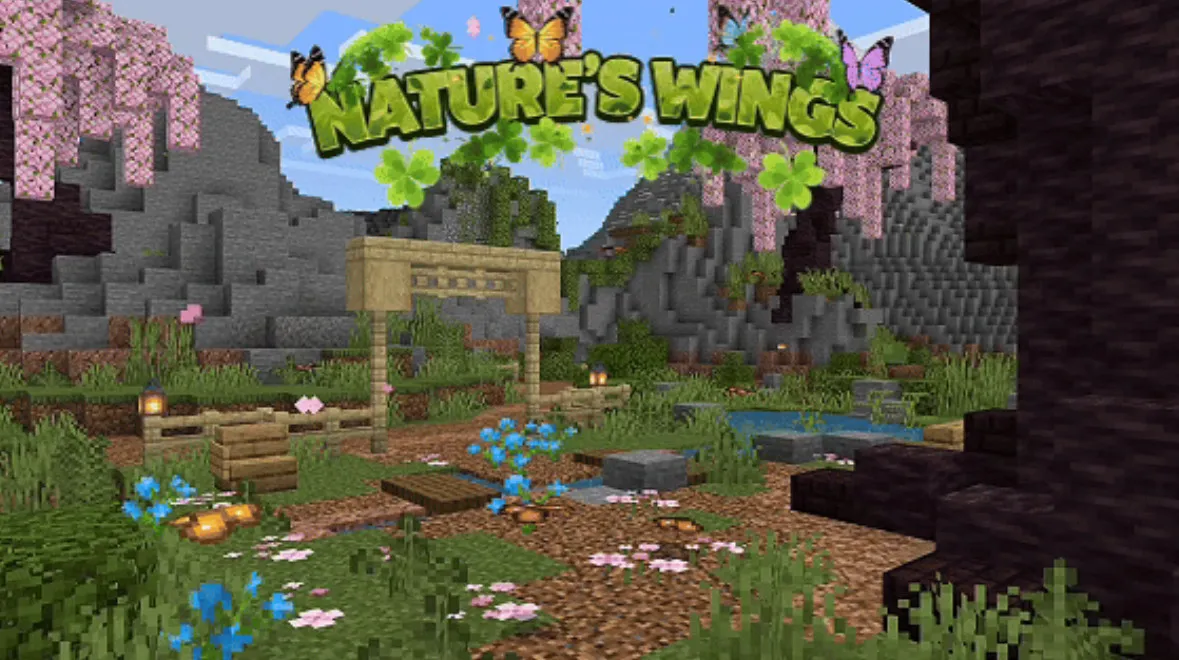 自然之翼 Nature's Wings