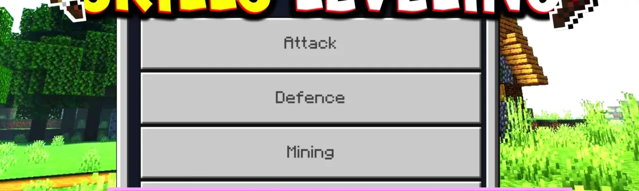 技能等级 Skills Leveling