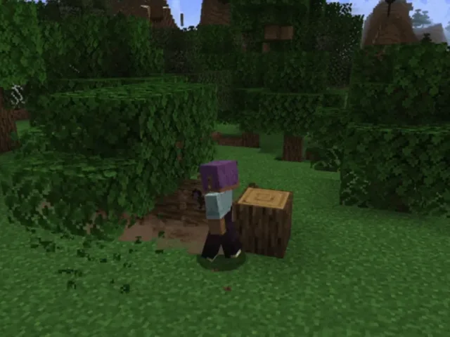 树木物理 Tree Physics