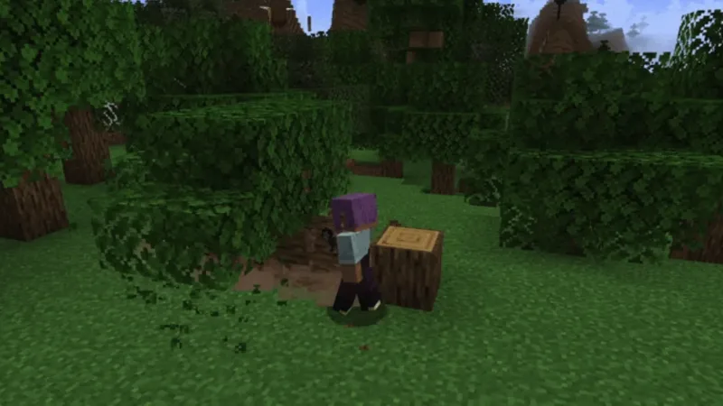 树木物理 Tree Physics