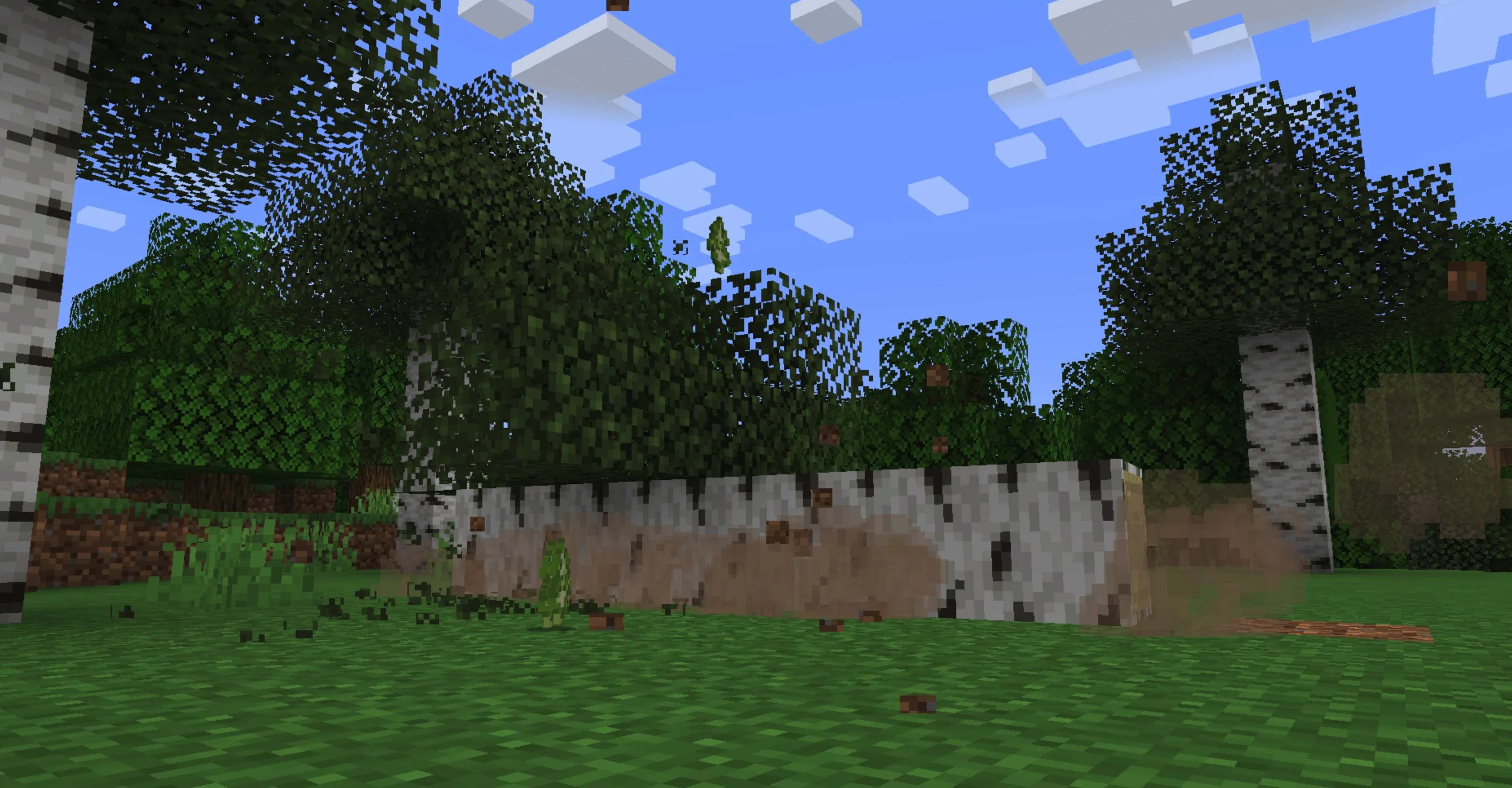树木物理 Tree Physics