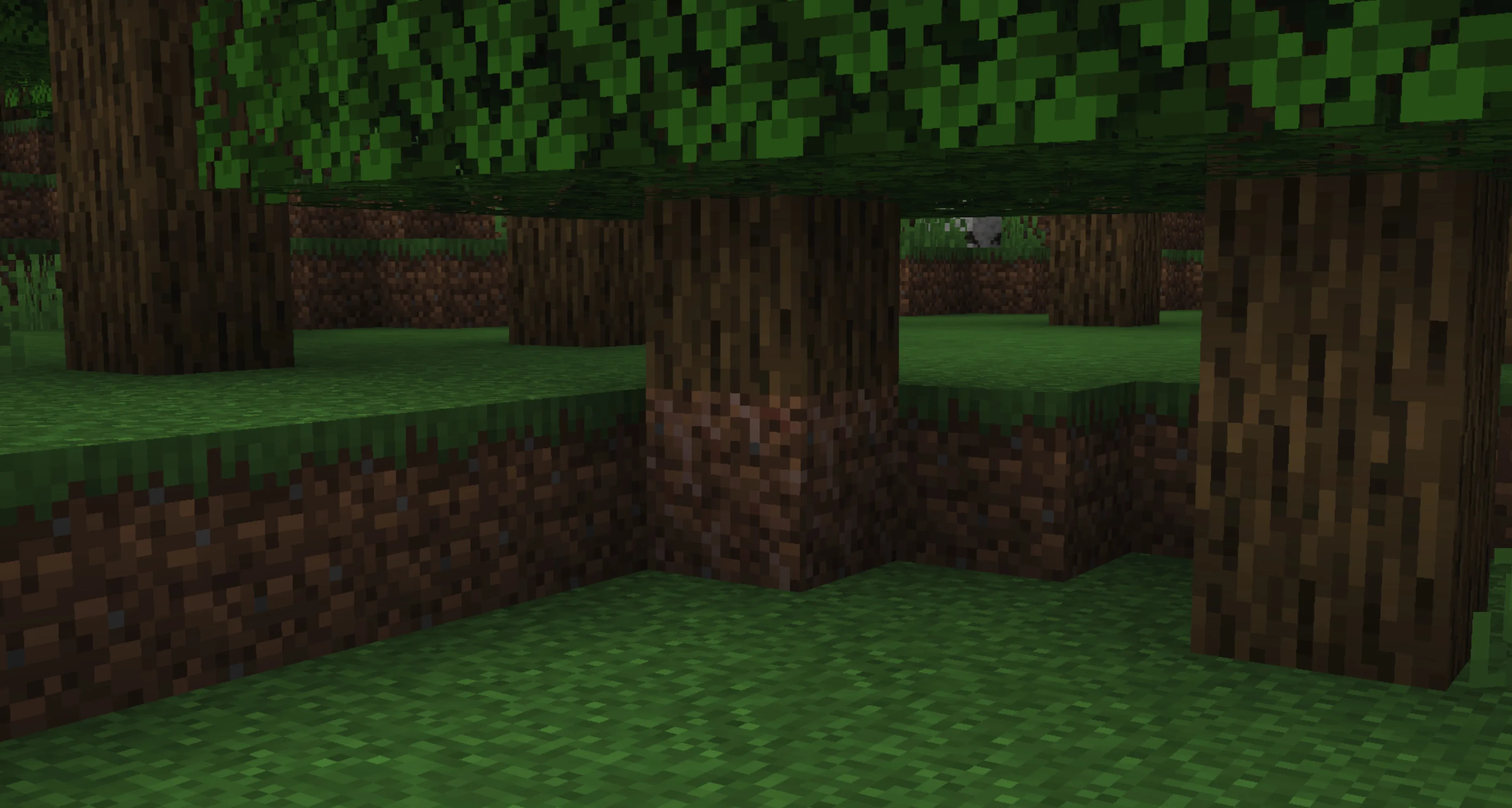 树木物理 Tree Physics