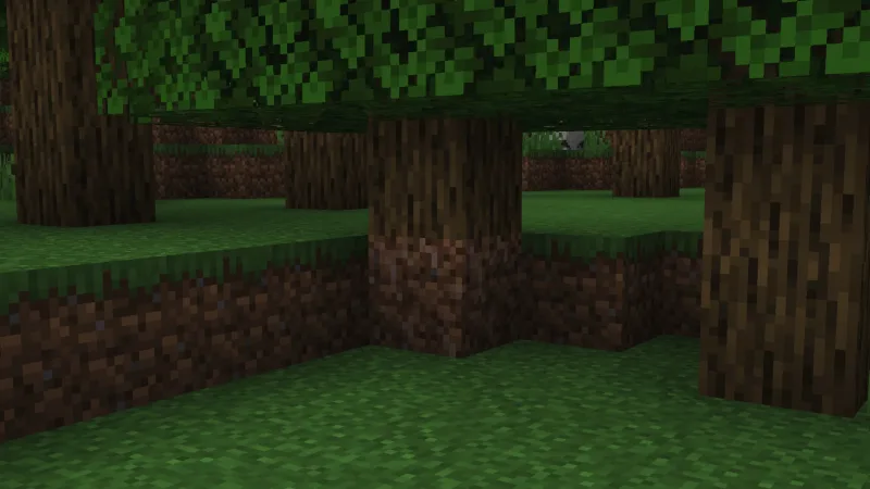 树木物理 Tree Physics