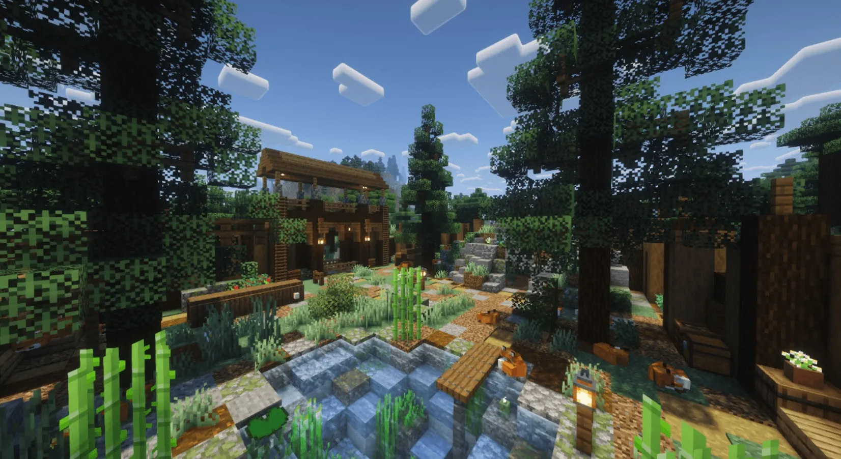 Fox Camp